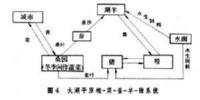 农民畅享“低碳生活”